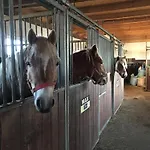 Rancho-bierna * Bierna