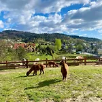 Rancho-bierna Lodge *