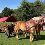 Rancho-bierna *
