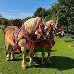 Rancho-bierna Bierna