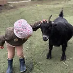 Rancho-bierna 롯지 Bierna