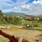 Rancho-bierna * Bierna
