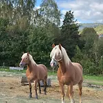 Rancho-bierna