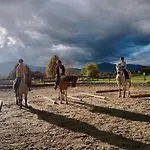 Rancho-bierna 롯지