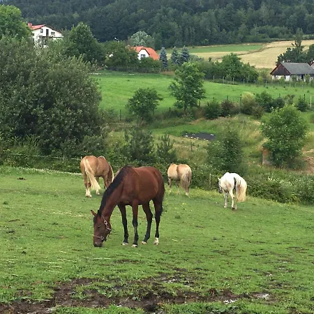 Rancho-bierna * Bierna