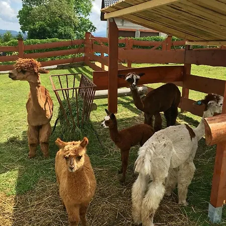 Rancho-bierna Orman Evi Bierna