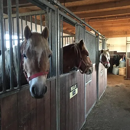 Rancho-bierna * Bierna