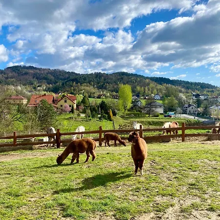 Rancho-bierna Lodge *