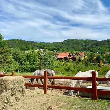 Rancho-bierna Lodge *