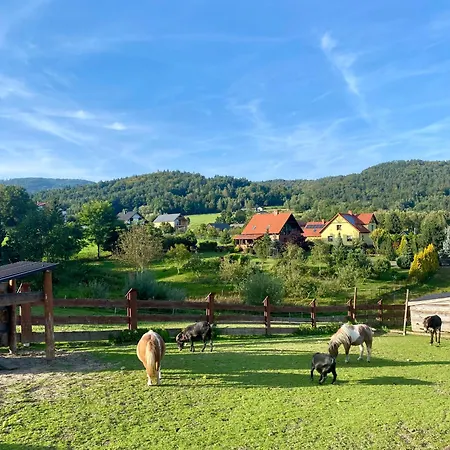Lodge Rancho-bierna *