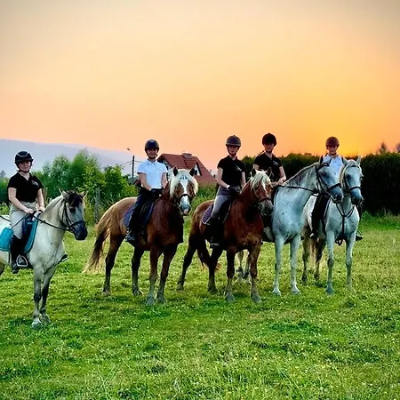 Rancho-bierna * Bierna