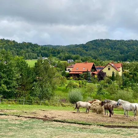 אכסניה Rancho-bierna Bierna