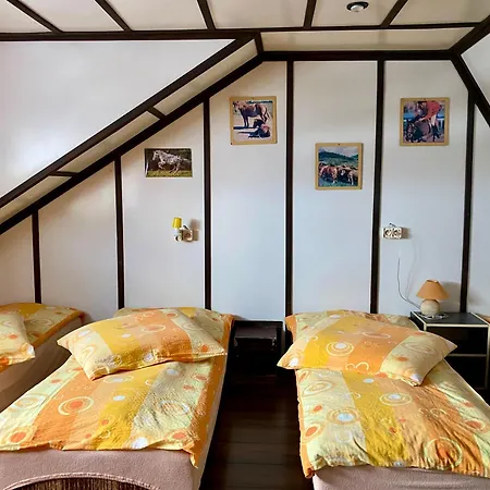 Rancho-bierna * Bierna