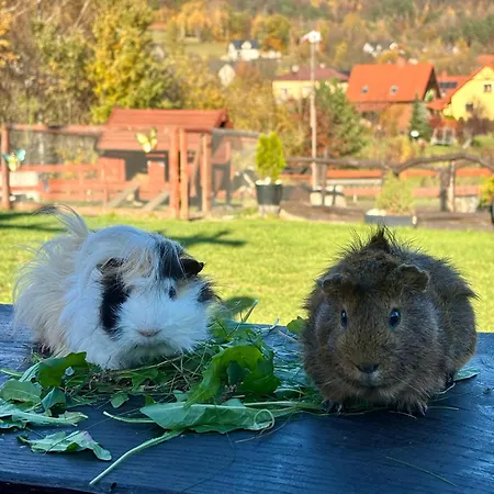 Orman Evi Rancho-bierna Bierna
