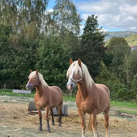 Rancho-bierna
