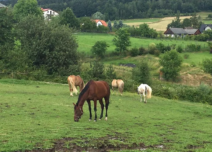 Rancho-bierna * Bierna