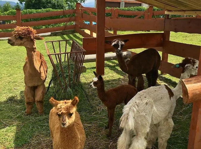 Rancho-bierna אכסניה Bierna