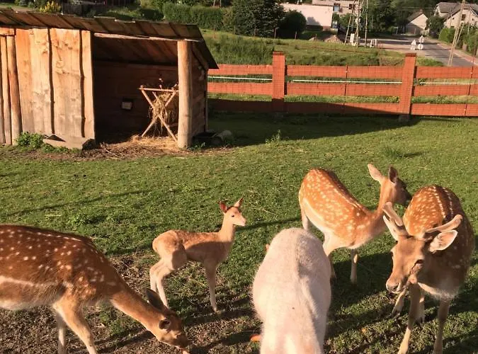 Rancho-bierna אכסניה *