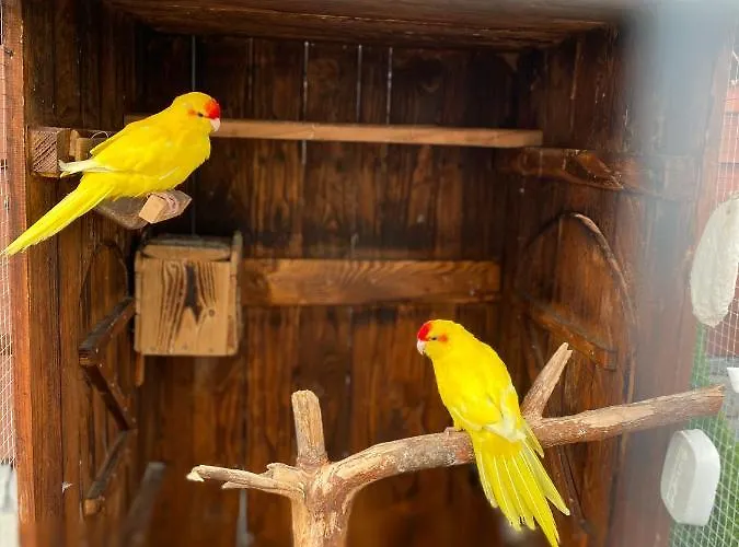 אכסניה Rancho-bierna