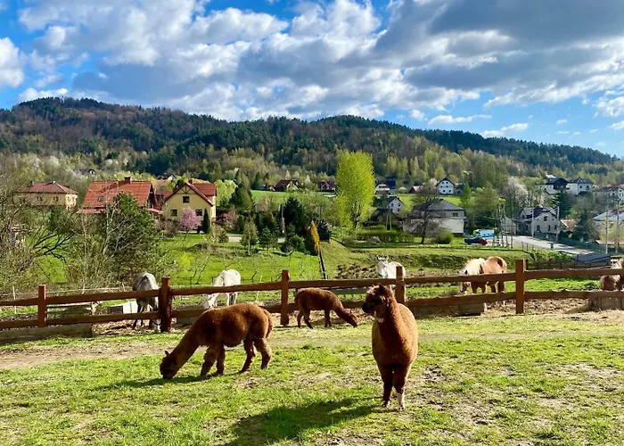 Rancho-bierna אכסניה *