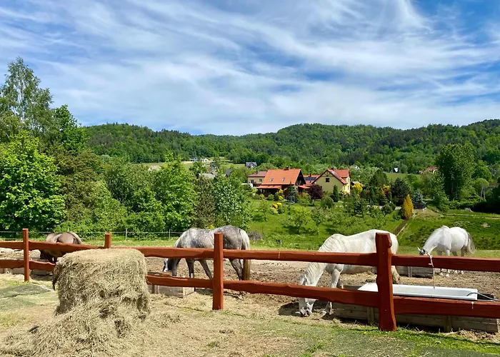 Rancho-bierna אכסניה *