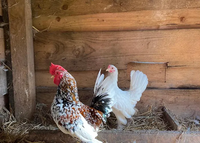 אכסניה Rancho-bierna