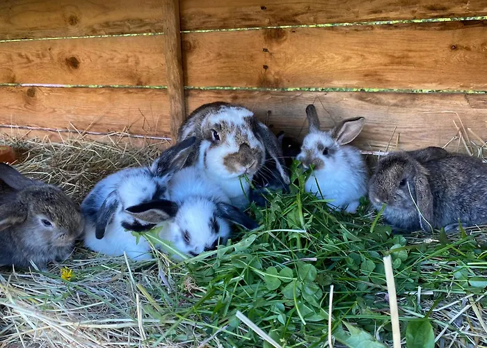 אכסניה Rancho-bierna *