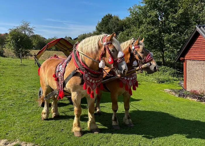 Rancho-bierna Bierna