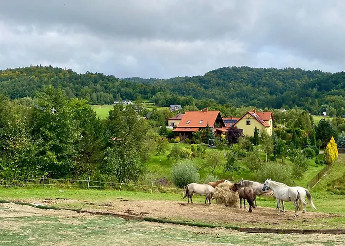 אכסניה Rancho-bierna Bierna