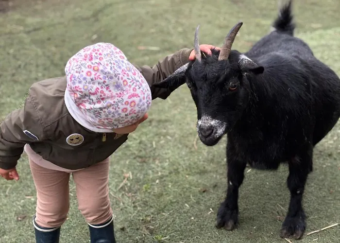 Rancho-bierna אכסניה Bierna