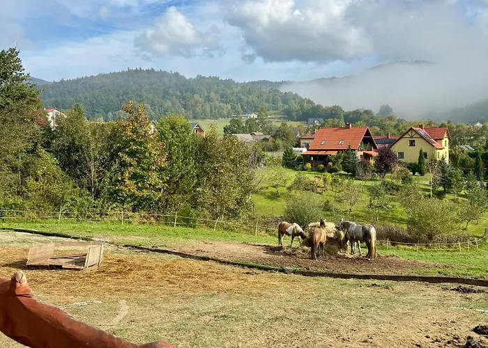 Rancho-bierna * Bierna